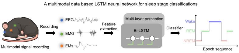 https://cdn.ncbi.nlm.nih.gov/pmc/blobs/9f60/11353116/fc4ad7b48a69/biosensors-14-00406-g001.jpg