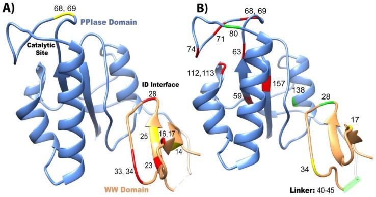 https://cdn.ncbi.nlm.nih.gov/pmc/blobs/9f60/6983177/4b9a86357c80/molecules-25-00036-g004.jpg