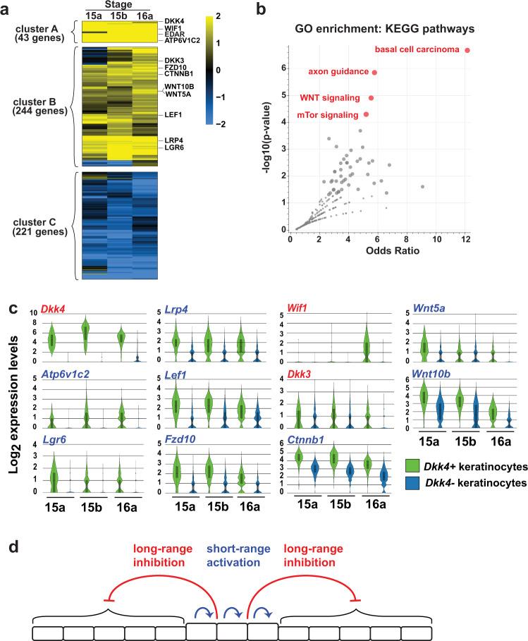 https://cdn.ncbi.nlm.nih.gov/pmc/blobs/9f60/8423757/65d884ea4340/41467_2021_25348_Fig3_HTML.jpg