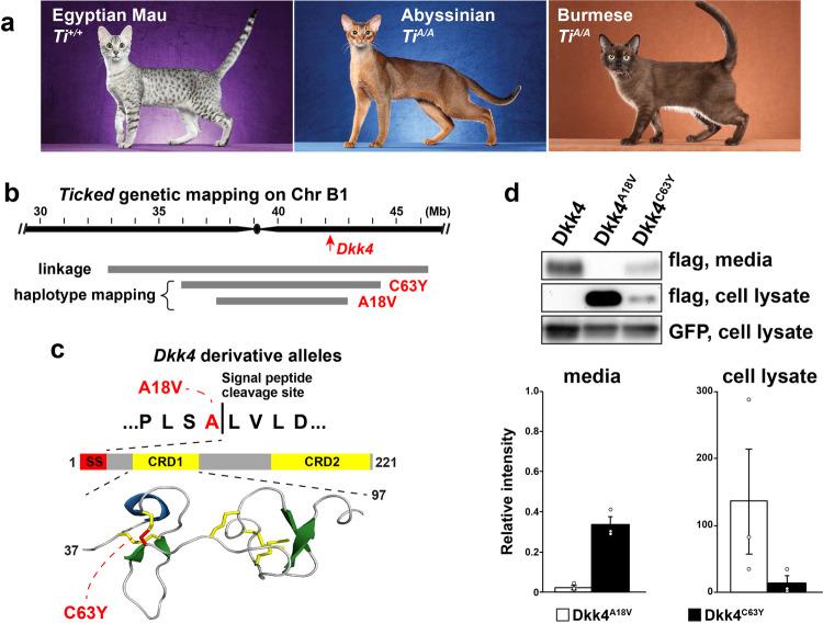 https://cdn.ncbi.nlm.nih.gov/pmc/blobs/9f60/8423757/6871574f5da0/41467_2021_25348_Fig5_HTML.jpg