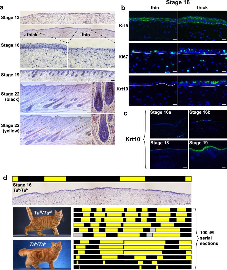 https://cdn.ncbi.nlm.nih.gov/pmc/blobs/9f60/8423757/92aa5590a1dd/41467_2021_25348_Fig1_HTML.jpg