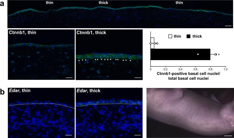 https://cdn.ncbi.nlm.nih.gov/pmc/blobs/9f60/8423757/fe3343f4f561/41467_2021_25348_Fig4_HTML.jpg