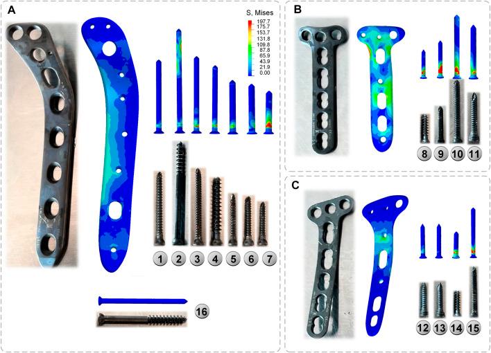 https://cdn.ncbi.nlm.nih.gov/pmc/blobs/9f62/10303893/69d0bcfa90cb/fbioe-11-1199944-g007.jpg