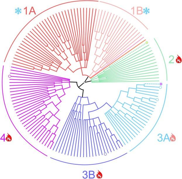 https://cdn.ncbi.nlm.nih.gov/pmc/blobs/9f62/12265866/cdd6a412774b/FEBS-292-3771-g011.jpg