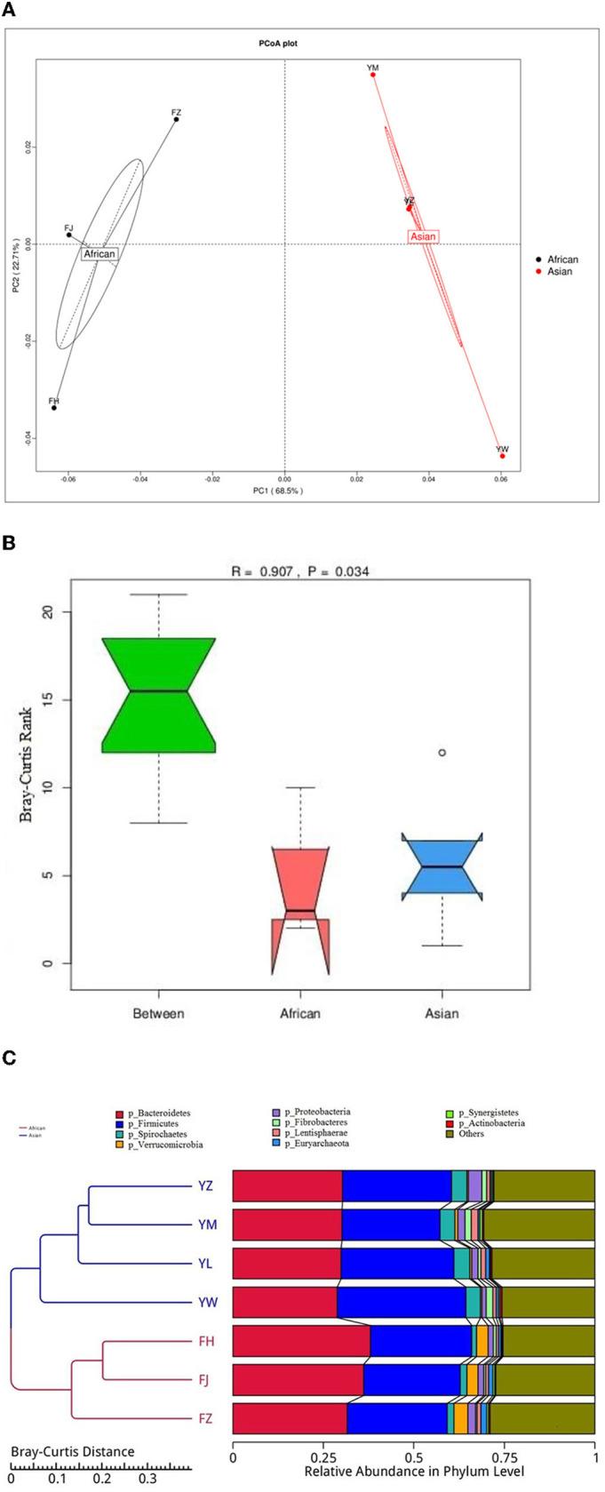 https://cdn.ncbi.nlm.nih.gov/pmc/blobs/9f62/9978182/2b6214bad1ec/fvets-10-986382-g0003.jpg