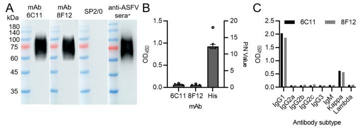 https://cdn.ncbi.nlm.nih.gov/pmc/blobs/9f63/9866794/26ab0de5029f/viruses-15-00131-g001.jpg