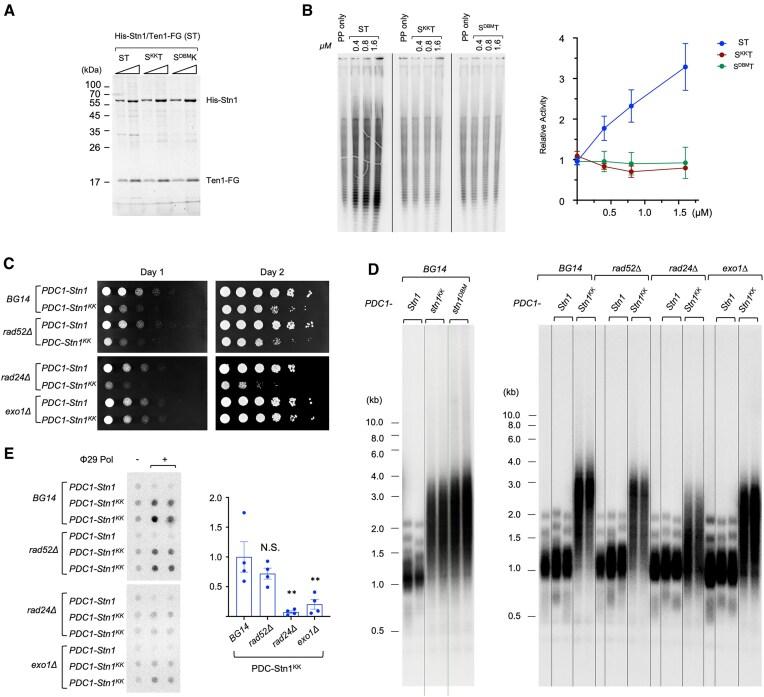 https://cdn.ncbi.nlm.nih.gov/pmc/blobs/9f65/11997776/d2a0be715289/gkaf245fig6.jpg