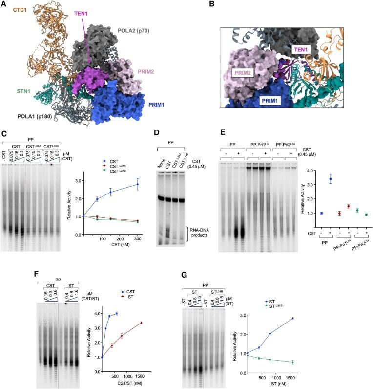 https://cdn.ncbi.nlm.nih.gov/pmc/blobs/9f65/11997776/d2c056ac6202/gkaf245fig1.jpg