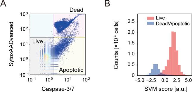 https://cdn.ncbi.nlm.nih.gov/pmc/blobs/9f6b/11413197/1c6e07a73395/41598_2024_72016_Fig4_HTML.jpg