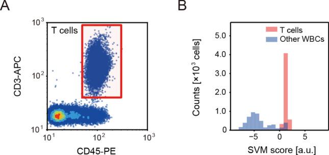 https://cdn.ncbi.nlm.nih.gov/pmc/blobs/9f6b/11413197/cc22ca02a3c4/41598_2024_72016_Fig5_HTML.jpg