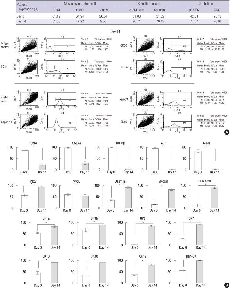 https://cdn.ncbi.nlm.nih.gov/pmc/blobs/9f6c/4689819/f7b1da1433a3/jkms-30-1754-g003.jpg