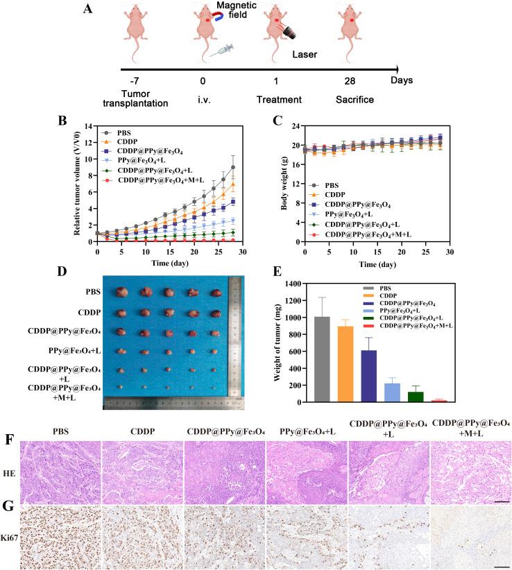 https://cdn.ncbi.nlm.nih.gov/pmc/blobs/9f6d/12097326/fc06e3f09c7b/d5ra01910a-f8.jpg