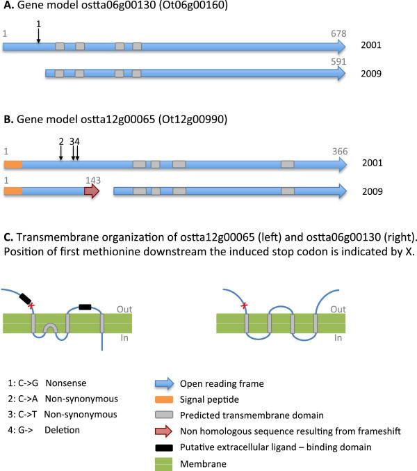 https://cdn.ncbi.nlm.nih.gov/pmc/blobs/9f6f/4378021/585f244aa2c0/12864_2014_6804_Fig3_HTML.jpg