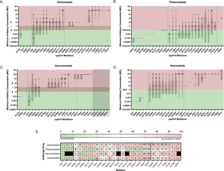 https://cdn.ncbi.nlm.nih.gov/pmc/blobs/9f71/12345187/40f10ccaa339/jcm.00291-25.f004.jpg