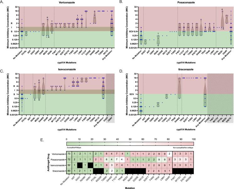 https://cdn.ncbi.nlm.nih.gov/pmc/blobs/9f71/12345187/ba4cdb124859/jcm.00291-25.f003.jpg