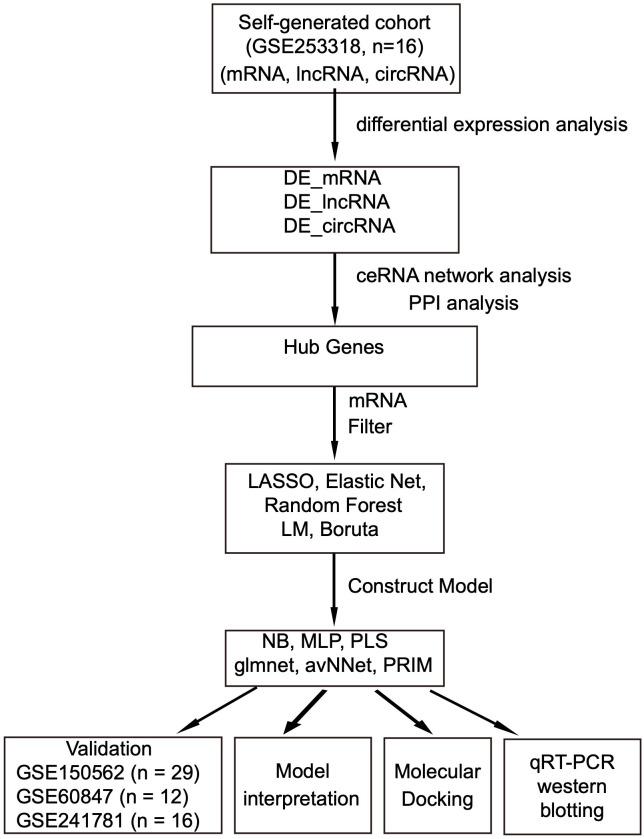https://cdn.ncbi.nlm.nih.gov/pmc/blobs/9f75/12176564/5b6127ff2e60/fimmu-16-1581878-g001.jpg
