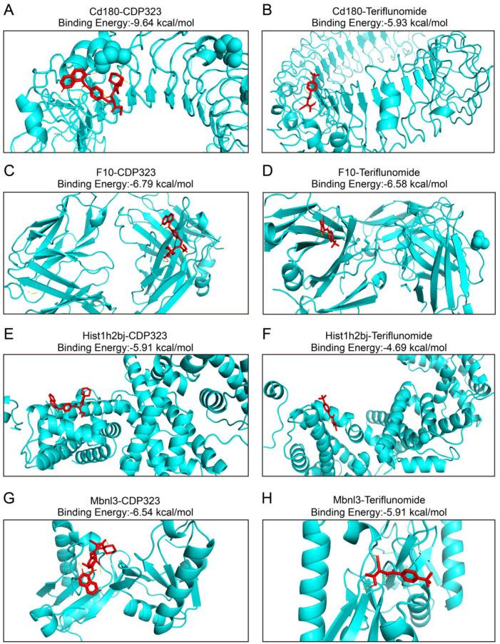 https://cdn.ncbi.nlm.nih.gov/pmc/blobs/9f75/12176564/c089c2d0269d/fimmu-16-1581878-g004.jpg