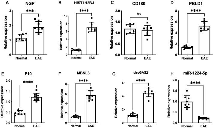 https://cdn.ncbi.nlm.nih.gov/pmc/blobs/9f75/12176564/f86d3799d25c/fimmu-16-1581878-g005.jpg