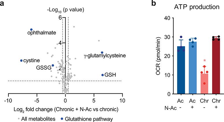 https://cdn.ncbi.nlm.nih.gov/pmc/blobs/9f76/7442749/13dfabc08cea/nihms-1600618-f0013.jpg