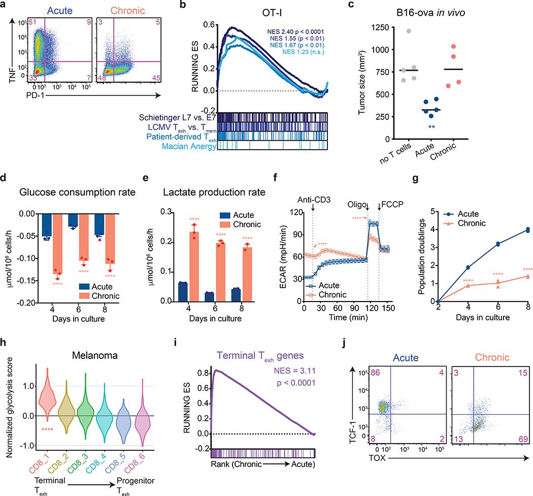 https://cdn.ncbi.nlm.nih.gov/pmc/blobs/9f76/7442749/49128149b4fb/nihms-1600618-f0001.jpg