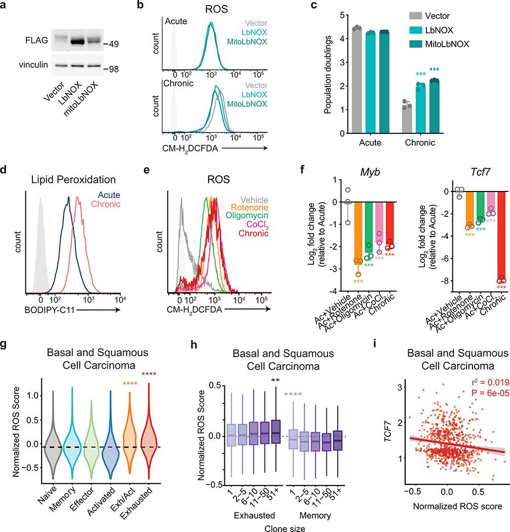https://cdn.ncbi.nlm.nih.gov/pmc/blobs/9f76/7442749/5c19d517b057/nihms-1600618-f0011.jpg