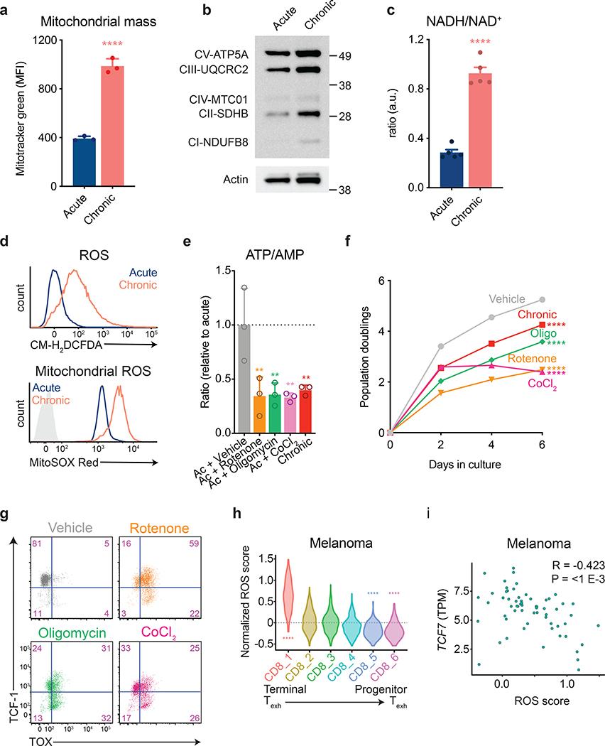 https://cdn.ncbi.nlm.nih.gov/pmc/blobs/9f76/7442749/6000fde40675/nihms-1600618-f0003.jpg