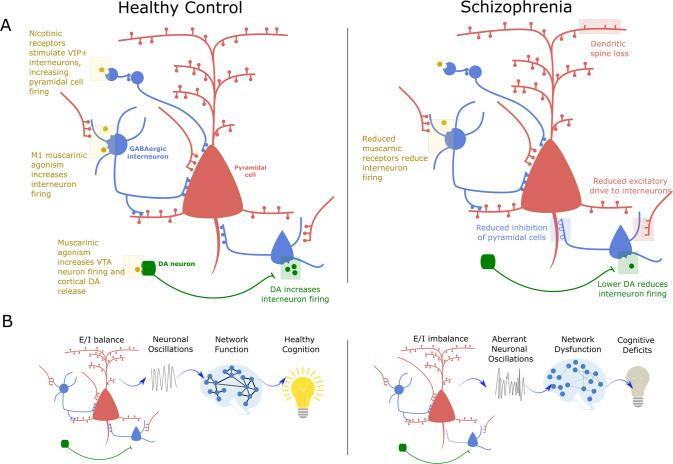 https://cdn.ncbi.nlm.nih.gov/pmc/blobs/9f77/10575791/8cd80477bb79/41380_2023_1949_Fig4_HTML.jpg