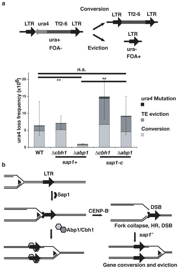https://cdn.ncbi.nlm.nih.gov/pmc/blobs/9f78/3057531/f0d4a0002577/nihms247818f4.jpg