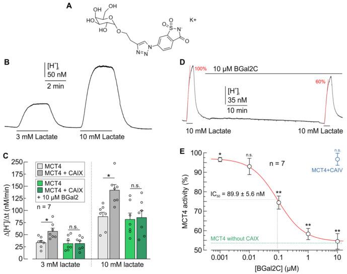 https://cdn.ncbi.nlm.nih.gov/pmc/blobs/9f79/11593560/5fd677583cba/ijms-25-11994-g001.jpg