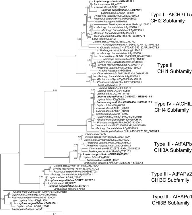 https://cdn.ncbi.nlm.nih.gov/pmc/blobs/9f79/4404975/903ef54c47ae/fpls-06-00268-g0003.jpg