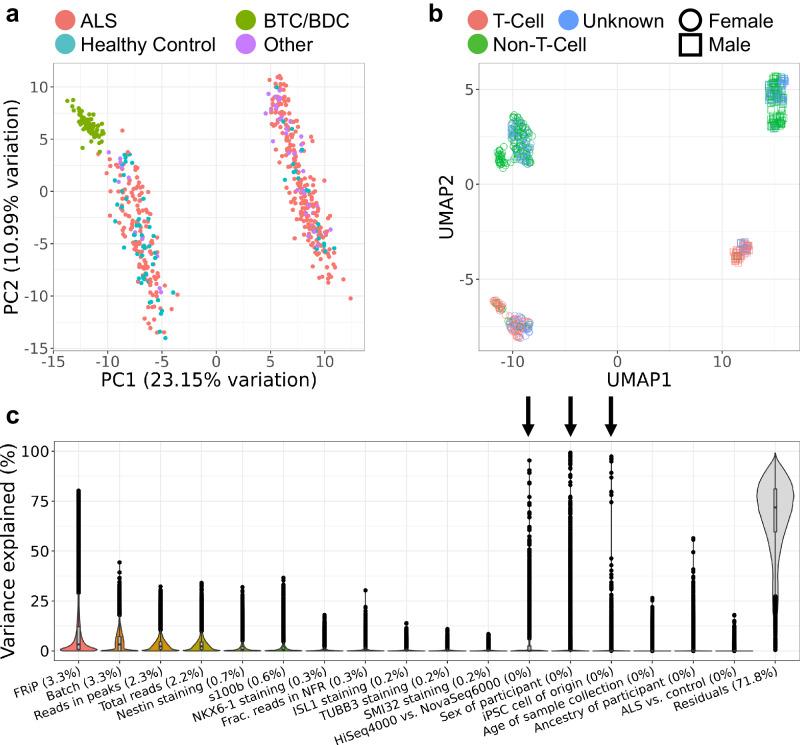 https://cdn.ncbi.nlm.nih.gov/pmc/blobs/9f7a/11066062/1e0048cdc1fb/41467_2024_47758_Fig2_HTML.jpg
