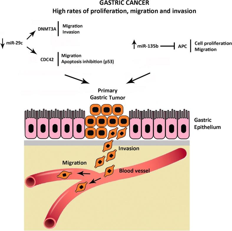 https://cdn.ncbi.nlm.nih.gov/pmc/blobs/9f7e/6208123/1ff72b110313/12885_2018_4980_Fig4_HTML.jpg