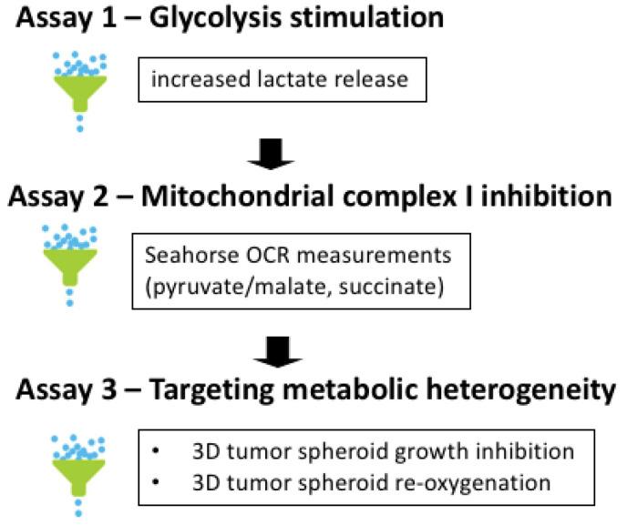 https://cdn.ncbi.nlm.nih.gov/pmc/blobs/9f7e/9658316/467f8c2cb220/cancers-14-05454-g002.jpg