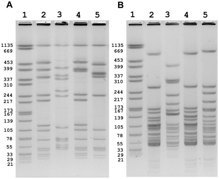 https://cdn.ncbi.nlm.nih.gov/pmc/blobs/9f7f/3409164/191805c1d43a/pone.0042448.g001.jpg