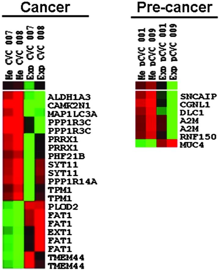 https://cdn.ncbi.nlm.nih.gov/pmc/blobs/9f81/4356325/21495d805d28/OL-09-04-1691-g00.jpg