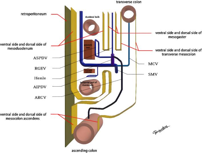 https://cdn.ncbi.nlm.nih.gov/pmc/blobs/9f82/12350102/790ced8e1c7f/fonc-15-1614285-g003.jpg