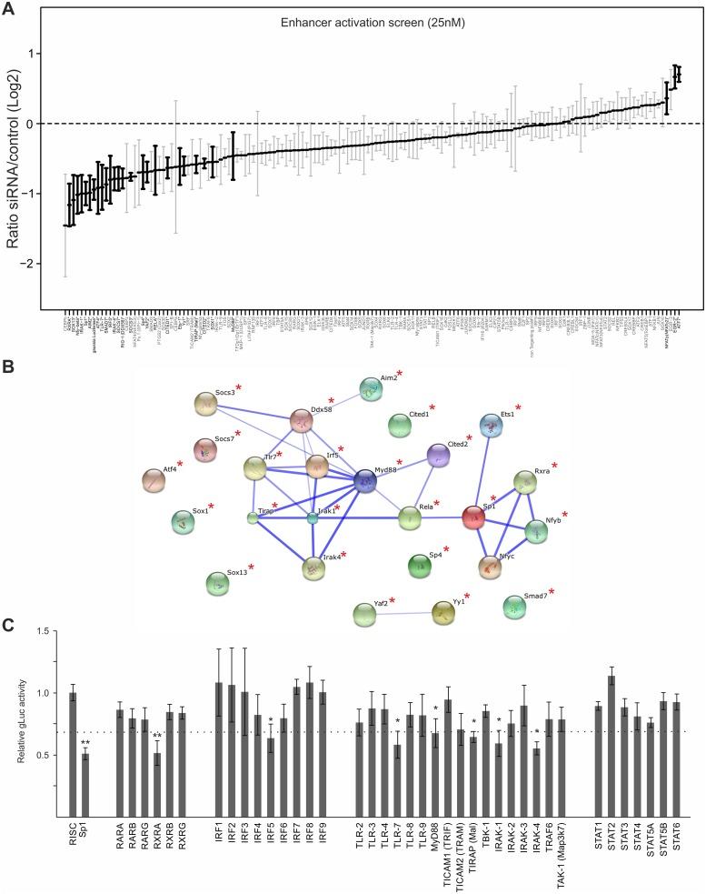https://cdn.ncbi.nlm.nih.gov/pmc/blobs/9f82/4391941/472635922f81/ppat.1004737.g004.jpg