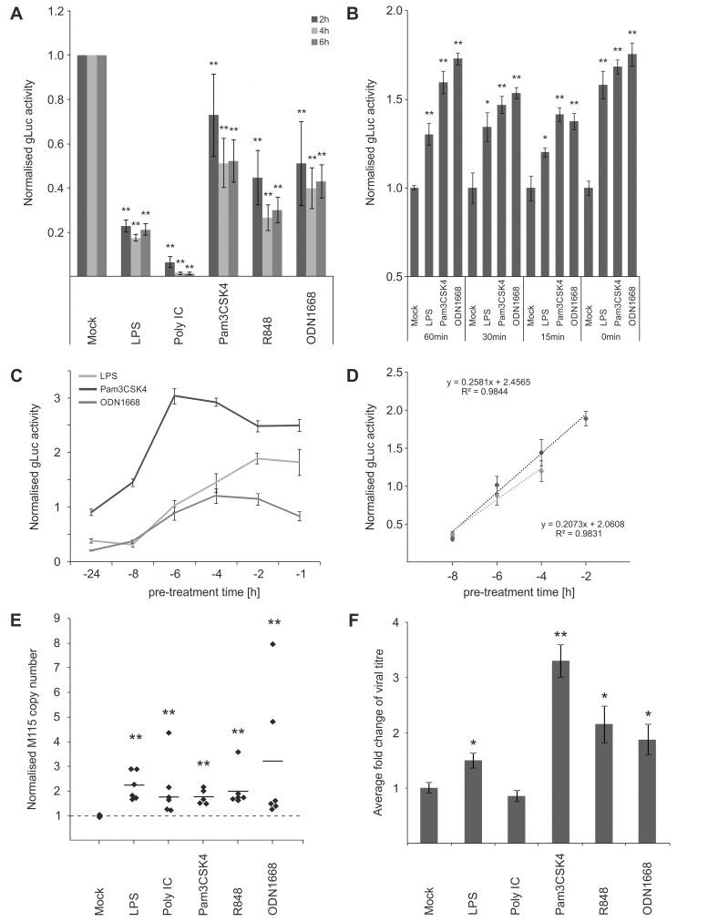 https://cdn.ncbi.nlm.nih.gov/pmc/blobs/9f82/4391941/d1c1e030dec9/ppat.1004737.g002.jpg