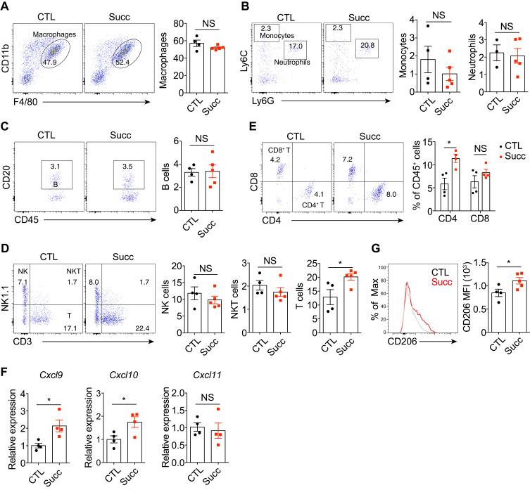https://cdn.ncbi.nlm.nih.gov/pmc/blobs/9f86/12178263/73be1198ca7c/JIR-18-7827-g0005.jpg