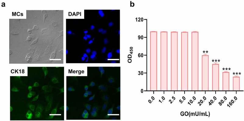 https://cdn.ncbi.nlm.nih.gov/pmc/blobs/9f86/9342191/f1d160166c7a/KBIE_A_2071021_F0002_OC.jpg