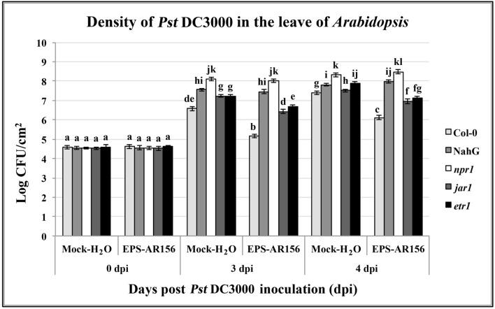 https://cdn.ncbi.nlm.nih.gov/pmc/blobs/9f87/4876362/73802ef2be8e/fmicb-07-00664-g006.jpg
