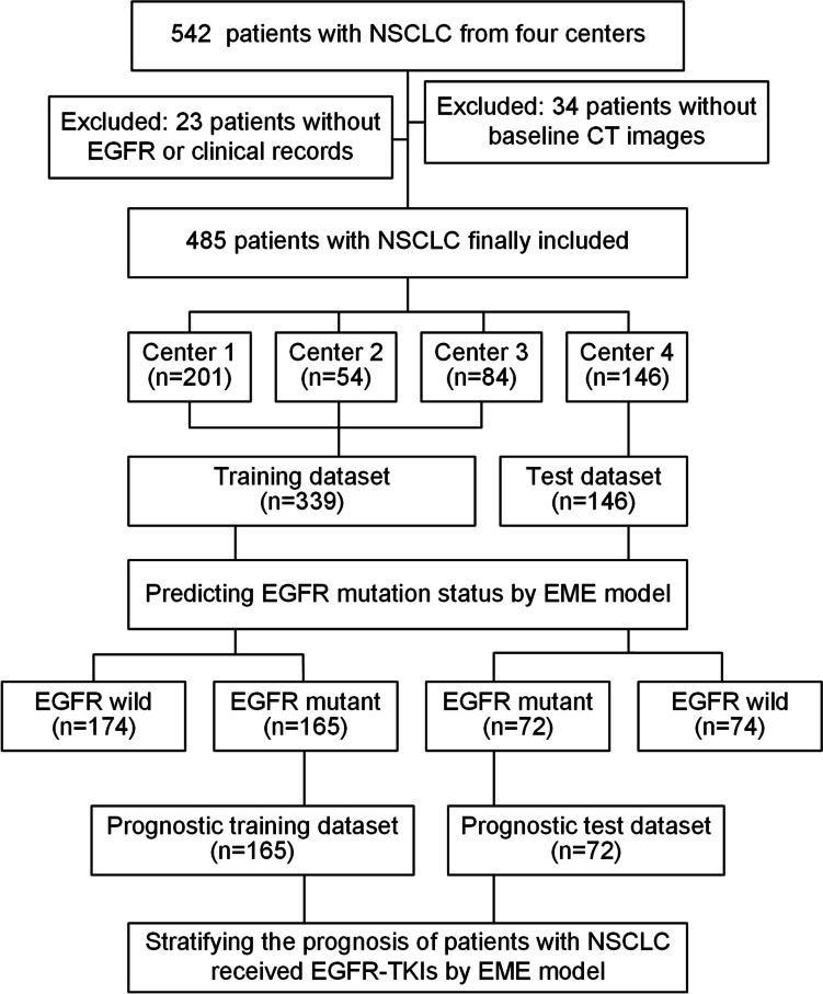 https://cdn.ncbi.nlm.nih.gov/pmc/blobs/9f8b/11169294/11af9a0fcdb6/10278_2024_1022_Fig2_HTML.jpg