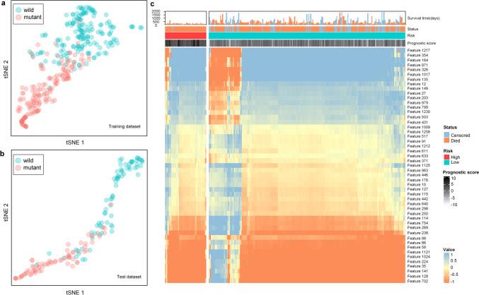 https://cdn.ncbi.nlm.nih.gov/pmc/blobs/9f8b/11169294/7ba265ee1cd1/10278_2024_1022_Fig5_HTML.jpg