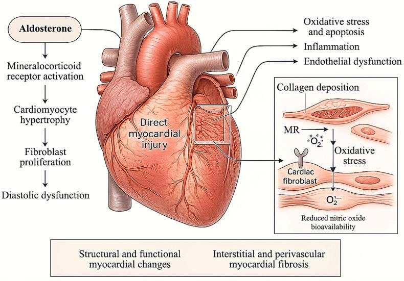 https://cdn.ncbi.nlm.nih.gov/pmc/blobs/9f8b/12345877/4af979b2ac37/diagnostics-15-01896-g001.jpg