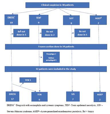 https://cdn.ncbi.nlm.nih.gov/pmc/blobs/9f8b/7982049/58f14dcd4113/IDOJ-12-78-g001.jpg