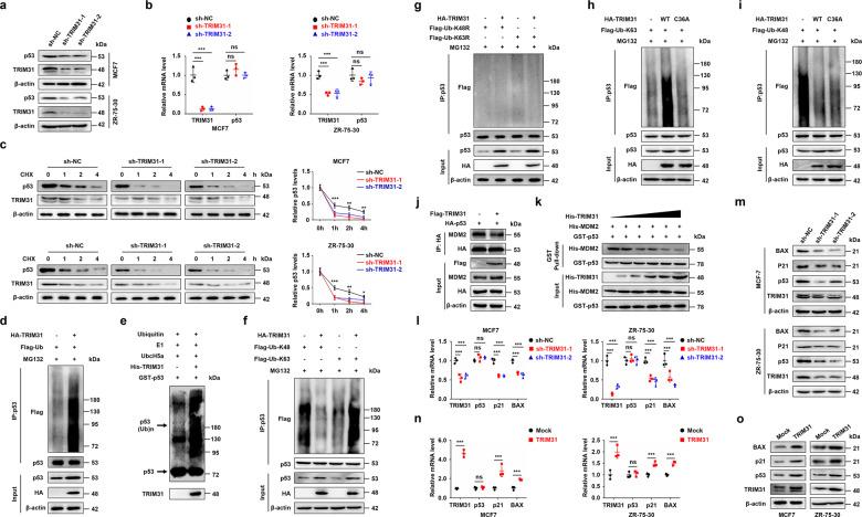 https://cdn.ncbi.nlm.nih.gov/pmc/blobs/9f8c/8516922/90cb43cf2cda/41419_2021_4208_Fig4_HTML.jpg