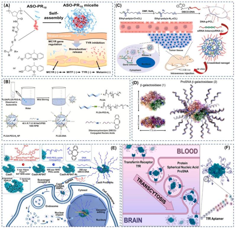 https://cdn.ncbi.nlm.nih.gov/pmc/blobs/9f8d/10400933/2bd36ab34803/gr2.jpg