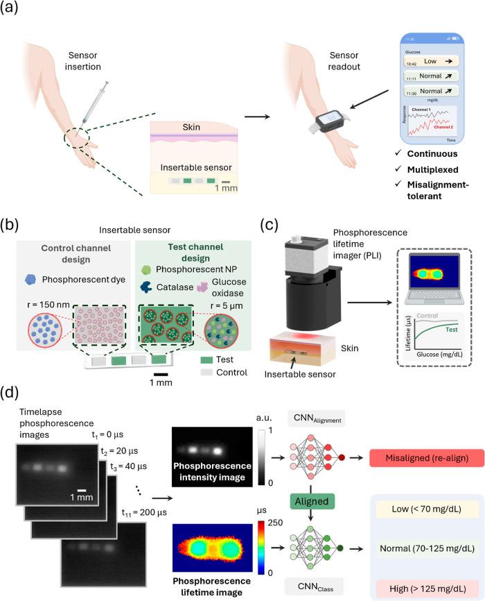 https://cdn.ncbi.nlm.nih.gov/pmc/blobs/9f8e/11363142/2661401110ce/nn4c06527_0001.jpg
