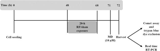 https://cdn.ncbi.nlm.nih.gov/pmc/blobs/9f8e/6125585/39a831b6ade9/41598_2018_31636_Fig5_HTML.jpg