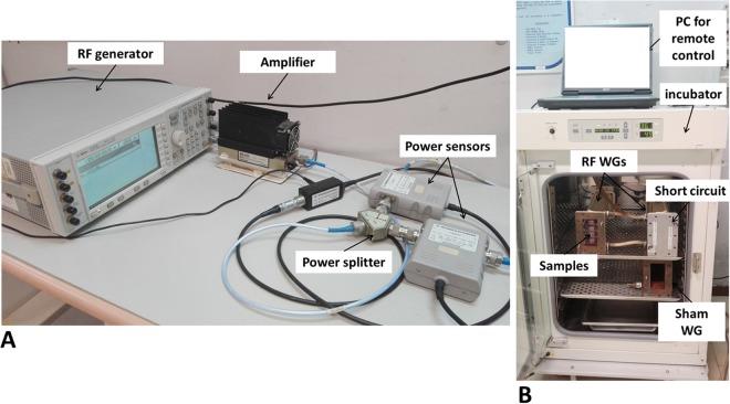 https://cdn.ncbi.nlm.nih.gov/pmc/blobs/9f8e/6125585/9d966a6f837d/41598_2018_31636_Fig4_HTML.jpg